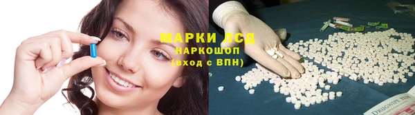 гашик Баксан