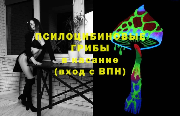 гашик Баксан