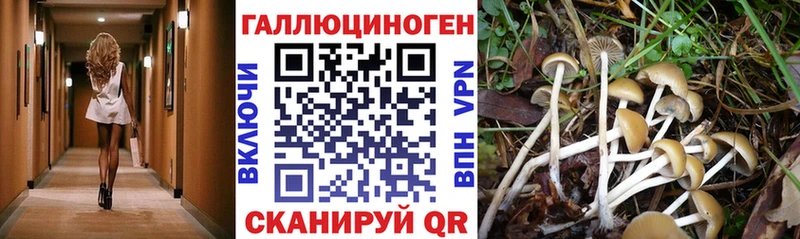 Псилоцибиновые грибы прущие грибы  Нерюнгри 